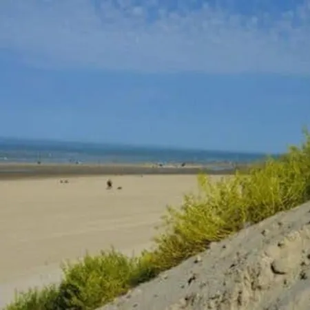 Cabine, Animaux Admis - 5 Pers., Vue Dunes - Fr-1-236-189 Apartment Stella-Plage